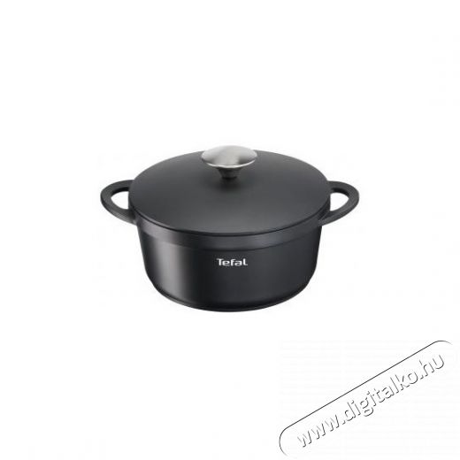 Tefal E2184434 Trattoria lábas fedővel 20cm Konyhai termékek - Edény - Fazék / lábas - 379233
