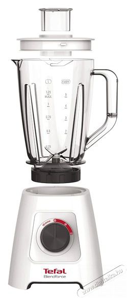 Tefal BL420131 turmixg&eacute;p Konyhai term&eacute;kek - Konyhai kisg&eacute;p (elők&eacute;sz&iacute;t&eacute;s / feldolgoz&aacute;s) - Turmixg&eacute;p - 455210