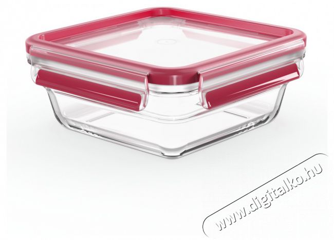 Tefal N1041410 Négyszögletű üveg tárolóedény  0,8 l Konyhai termékek - Konyhai eszköz - Egyéb konyhai eszköz - 465237