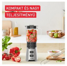 Tefal BL16GE30 ezüst turmix Konyhai termékek - Konyhai kisgép (előkészítés / feldolgozás) - Turmixgép - 502394
