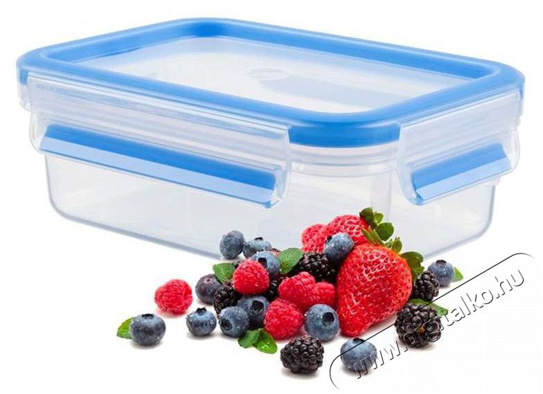 Tefal T&aacute;rol&oacute;ed&eacute;ny 0,55 l MASTER SEAL FRESH t&eacute;glalap alak&uacute; K3021112 Konyhai term&eacute;kek - Ed&eacute;ny - &Eacute;telt&aacute;rol&oacute; - 520927