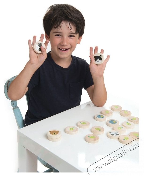 Tender Leaf Toys Okos cica Mem&oacute;ria j&aacute;t&eacute;k f&aacute;b&oacute;l, 21 darab H&aacute;ztart&aacute;s / Otthon / K&uuml;lt&eacute;r - J&aacute;t&eacute;k / Sport - Kreat&iacute;v / k&eacute;szs&eacute;gfejlesztő j&aacute;t&eacute;k - 533809