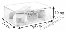 TESCOMA PURITY frissen tartó doboz, hűtőszekrénybe, 28x22 cm, nagy Konyhai termékek - Edény - Ételtároló - 520950