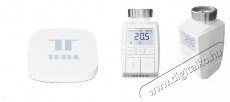 Tesla Smart Bundle Basic 2 (2x Valve + Hub) Háztartás / Otthon / Kültér - Okos otthon - Termosztát - 508239