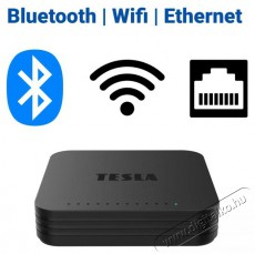 Tesla MediaBox XG500 M&eacute;dialej&aacute;tsz&oacute; Google TV-vel Audio-Video / Hifi / Multim&eacute;dia - CD / DVD / Blu-Ray / Multim&eacute;dia k&eacute;sz&uuml;l&eacute;k - Multim&eacute;dia lej&aacute;tsz&oacute; - 526446