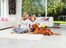 Thomas Perfect air animal pure (786527) takarítógép Háztartás / Otthon / Kültér - Porszívó / takarítógép - Porzsák nélküli porszívó - 349727