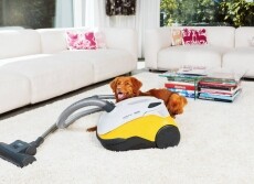 Thomas Perfect air animal pure (786527) takarítógép Háztartás / Otthon / Kültér - Porszívó / takarítógép - Porzsák nélküli porszívó - 349727