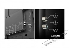 THOMSON 50QG7C14 &Uacute;jdons&aacute;gok - &Uacute;j term&eacute;kek - 512505