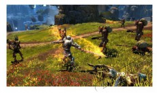 THQ Kingdoms of Amalur Re-Reckoning PS4 játékszoftver Iroda és számítástechnika - Játék konzol - Playstation 4 (PS4) játék - 393936