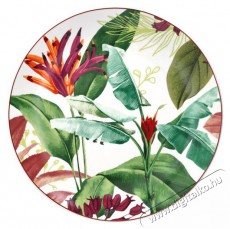 Tognana TROPICALIA, 18 darab Konyhai term&eacute;kek - &Eacute;tk&eacute;szlet - T&aacute;ny&eacute;r k&eacute;szlet - 528170