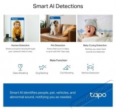 TP-LINK Tapo C220 belt&eacute;ri WiFi kamera F&eacute;nyk&eacute;pezőg&eacute;p / kamera - Megfigyelő / IP kamera - 531317