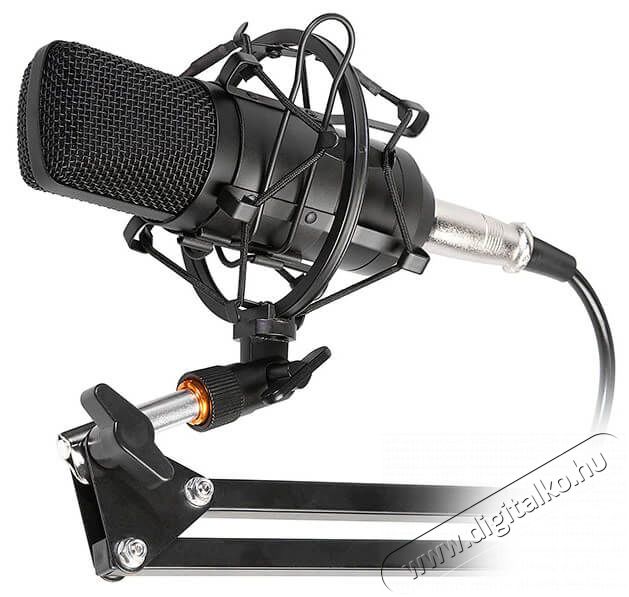 Tracer TRAMIC46163 St&uacute;di&oacute; mikrofon Iroda &eacute;s sz&aacute;m&iacute;t&aacute;stechnika - Egy&eacute;b sz&aacute;m&iacute;t&aacute;stechnikai term&eacute;k - 367020