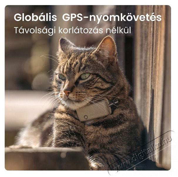 TRACTIVE Tractive GPS CAT Mini barna macska GPS nyomk&ouml;vető &eacute;s tev&eacute;kenys&eacute;gfigyelő H&aacute;ztart&aacute;s / Otthon / K&uuml;lt&eacute;r - Egy&eacute;b h&aacute;ztart&aacute;si term&eacute;k - 501900