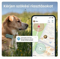 TRACTIVE Tractive GPS DOG 6 menta kutya GPS nyomkövető és tevékenységfigyelő Háztartás / Otthon / Kültér - Egyéb háztartási termék - 501906