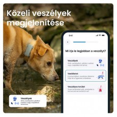 TRACTIVE Tractive GPS DOG 6 menta kutya GPS nyomkövető és tevékenységfigyelő Háztartás / Otthon / Kültér - Egyéb háztartási termék - 501906