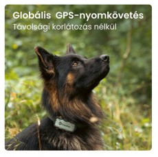 TRACTIVE Tractive GPS DOG XL Adventure Edition kutya GPS nyomkövető és tevékenységfigyelő Háztartás / Otthon / Kültér - Egyéb háztartási termék - 501904