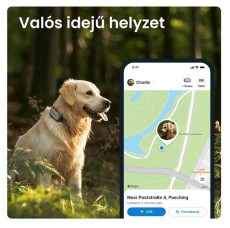 TRACTIVE Tractive GPS DOG XL Adventure Edition kutya GPS nyomkövető és tevékenységfigyelő Háztartás / Otthon / Kültér - Egyéb háztartási termék - 501904