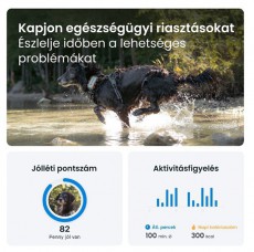 TRACTIVE Tractive GPS DOG XL Adventure Edition kutya GPS nyomkövető és tevékenységfigyelő Háztartás / Otthon / Kültér - Egyéb háztartási termék - 501904