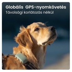 TRACTIVE Tractive GPS DOG XL zöld kutya GPS nyomkövető és tevékenységfigyelő Háztartás / Otthon / Kültér - Egyéb háztartási termék - 501903