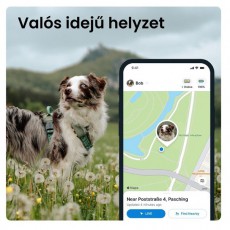 TRACTIVE Tractive GPS DOG XL zöld kutya GPS nyomkövető és tevékenységfigyelő Háztartás / Otthon / Kültér - Egyéb háztartási termék - 501903