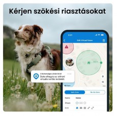 TRACTIVE Tractive GPS DOG XL zöld kutya GPS nyomkövető és tevékenységfigyelő Háztartás / Otthon / Kültér - Egyéb háztartási termék - 501903