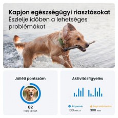 TRACTIVE Tractive GPS DOG XL zöld kutya GPS nyomkövető és tevékenységfigyelő Háztartás / Otthon / Kültér - Egyéb háztartási termék - 501903