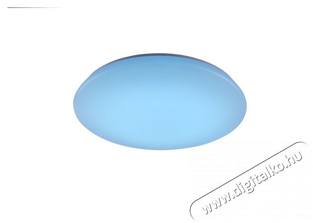 TRIO 656010101 Charly mennyezeti l&aacute;mpa H&aacute;ztart&aacute;s / Otthon / K&uuml;lt&eacute;r - Vil&aacute;g&iacute;t&aacute;s / elektromoss&aacute;g - Fali / mennyezeti l&aacute;mpa - 388112