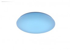 TRIO 656010101 Charly mennyezeti l&aacute;mpa H&aacute;ztart&aacute;s / Otthon / K&uuml;lt&eacute;r - Vil&aacute;g&iacute;t&aacute;s / elektromoss&aacute;g - Fali / mennyezeti l&aacute;mpa - 388112