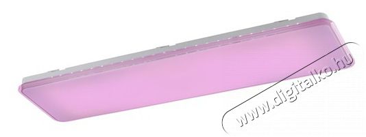 TRIO 658810101 Imara mennyezeti l&aacute;mpa H&aacute;ztart&aacute;s / Otthon / K&uuml;lt&eacute;r - Vil&aacute;g&iacute;t&aacute;s / elektromoss&aacute;g - Fali / mennyezeti l&aacute;mpa - 388114