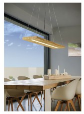 TRIO 323710130 Brad Fa mennyezeti l&aacute;mpa H&aacute;ztart&aacute;s / Otthon / K&uuml;lt&eacute;r - Vil&aacute;g&iacute;t&aacute;s / elektromoss&aacute;g - Fali / mennyezeti l&aacute;mpa - 392807