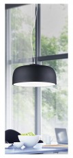 TRIO 309800432 Baron 40W fekete függesztett lámpatest Háztartás / Otthon / Kültér - Világítás / elektromosság - Fali / mennyezeti lámpa - 395043