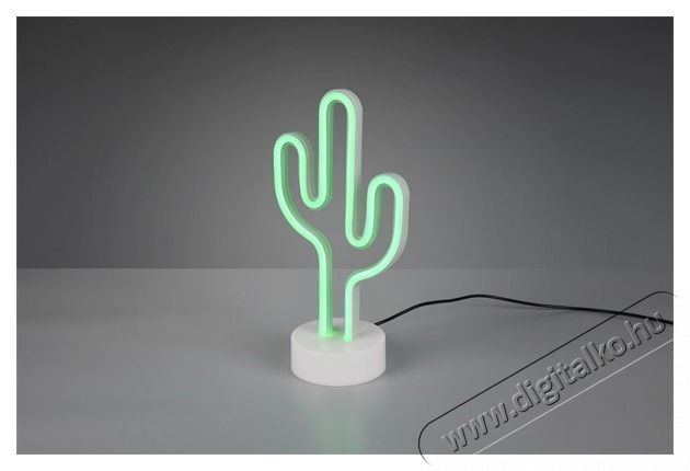 TRIO R55220101 Cactus 29,5 cm USB asztali l&aacute;mpa H&aacute;ztart&aacute;s / Otthon / K&uuml;lt&eacute;r - Vil&aacute;g&iacute;t&aacute;s / elektromoss&aacute;g - Asztali l&aacute;mpa - 431500