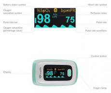 TRUELIFE Oximeter X5 BT pulzoximéter Szépségápolás / Egészség - Vérnyomásmérő - Kiegészítő - 484071