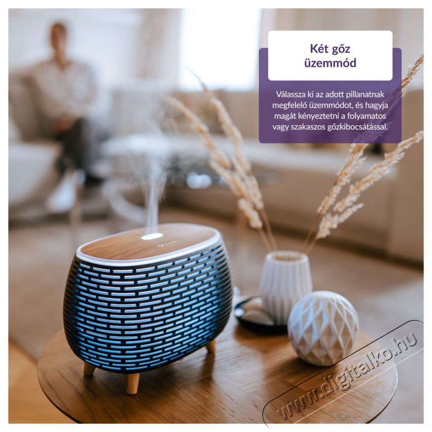 TRUELIFE AIR Diffuser D6 Aroma diff&uacute;zor Sz&eacute;ps&eacute;g&aacute;pol&aacute;s / Eg&eacute;szs&eacute;g - L&eacute;gtiszt&iacute;t&oacute; / p&aacute;r&aacute;s&iacute;t&oacute; / p&aacute;r&aacute;tlan&iacute;t&oacute; - P&aacute;r&aacute;s&iacute;t&oacute; - 526520
