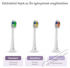 TRUELIFE SonicBrush Compact Pink Elektromos fogkefe Szépségápolás / Egészség - Száj / fog ápolás - Elektromos fogkefe - 526507