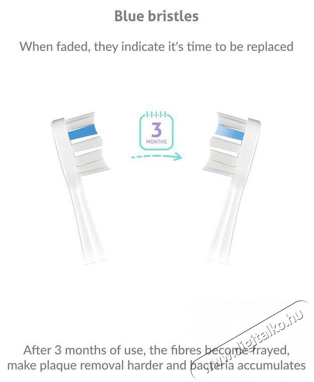 TRUELIFE SonicBrush GL UV Elektromos fogkefe Sz&eacute;ps&eacute;g&aacute;pol&aacute;s / Eg&eacute;szs&eacute;g - Sz&aacute;j / fog &aacute;pol&aacute;s - Elektromos fogkefe - 526510