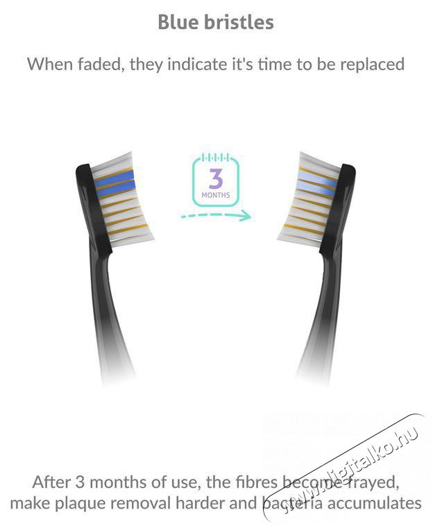 TRUELIFE SonicBrush K150 UV Elektromos fogkefe Sz&eacute;ps&eacute;g&aacute;pol&aacute;s / Eg&eacute;szs&eacute;g - Sz&aacute;j / fog &aacute;pol&aacute;s - Elektromos fogkefe - 526512