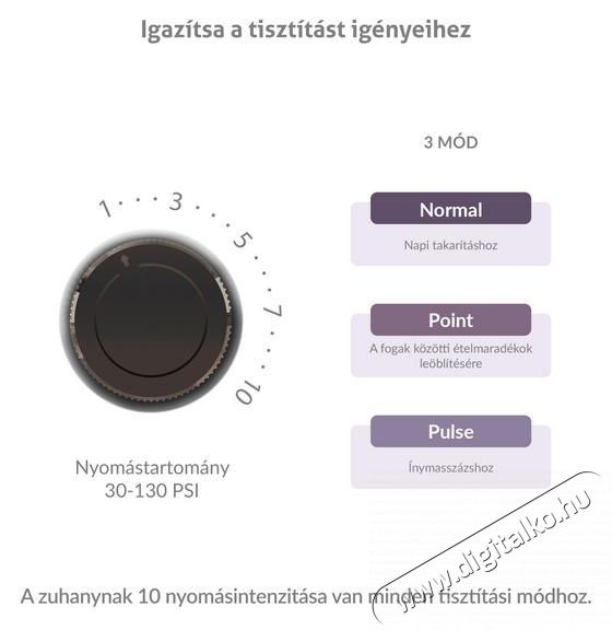 TRUELIFE AquaFloss Station F300 Black Elektromos sz&aacute;jzuhany Sz&eacute;ps&eacute;g&aacute;pol&aacute;s / Eg&eacute;szs&eacute;g - Sz&aacute;j / fog &aacute;pol&aacute;s - Sz&aacute;jzuhany - 540551