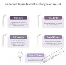 TRUELIFE AquaFloss Station F300 White Elektromos sz&aacute;jzuhany Sz&eacute;ps&eacute;g&aacute;pol&aacute;s / Eg&eacute;szs&eacute;g - Sz&aacute;j / fog &aacute;pol&aacute;s - Sz&aacute;jzuhany - 540552