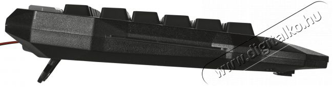 Trust GXT 285 Advanced USB ENG gamer billentyűzet Iroda és számítástechnika - Billentyűzet / billentyűzet szett - Vezetékes - 313295