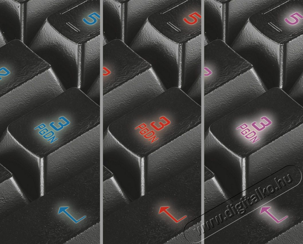 Trust GXT 285 Advanced USB ENG gamer billentyűzet Iroda és számítástechnika - Billentyűzet / billentyűzet szett - Vezetékes - 313295