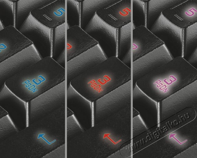 Trust GXT 285 Advanced USB ENG gamer billentyűzet Iroda és számítástechnika - Billentyűzet / billentyűzet szett - Vezetékes - 313295