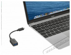 Trust Calyx USB- C - USB-A adapter kábel Tv kiegészítők - Kábel / csatlakozó - Csatlakozó / elosztó / átalakító - 379946