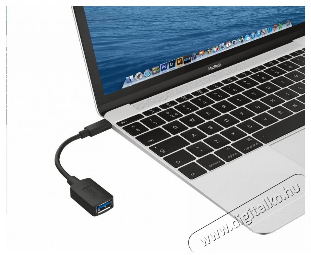 Trust Calyx USB- C - USB-A adapter kábel Tv kiegészítők - Kábel / csatlakozó - Csatlakozó / elosztó / átalakító - 379946