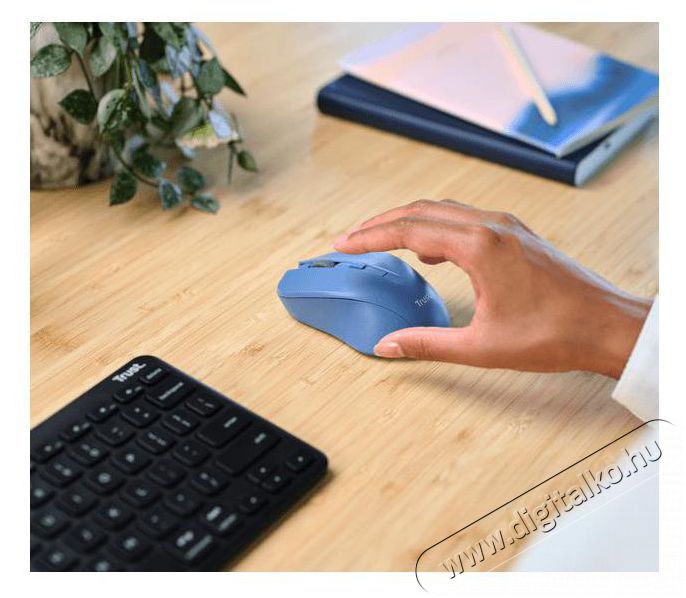 Trust Mydo Silent vezet&eacute;k n&eacute;lk&uuml;li k&eacute;k eg&eacute;r Iroda &eacute;s sz&aacute;m&iacute;t&aacute;stechnika - Eg&eacute;r - Vezet&eacute;k n&eacute;lk&uuml;li eg&eacute;r - 513375