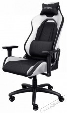 Trust GXT714W RUYA ECO Gaming Chair, fehér Háztartás / Otthon / Kültér - Egyéb háztartási termék - 518461