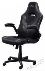 Trust GXT703 RIYE Gaming Chair, fekete Iroda és számítástechnika - Egyéb számítástechnikai termék - 520224