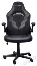 Trust GXT703 RIYE Gaming Chair, fekete Iroda és számítástechnika - Egyéb számítástechnikai termék - 520224