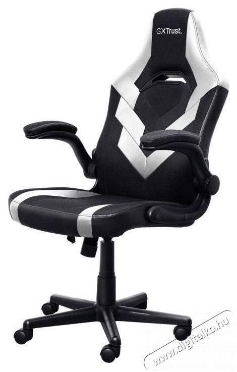 Trust GXT703W RIYE Gaming Chair, feh&eacute;r Iroda &eacute;s sz&aacute;m&iacute;t&aacute;stechnika - Egy&eacute;b sz&aacute;m&iacute;t&aacute;stechnikai term&eacute;k - 520225