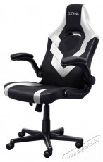 Trust GXT703W RIYE Gaming Chair, feh&eacute;r Iroda &eacute;s sz&aacute;m&iacute;t&aacute;stechnika - Egy&eacute;b sz&aacute;m&iacute;t&aacute;stechnikai term&eacute;k - 520225